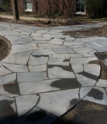 264422902_1486907888359388_253826930713786032_n